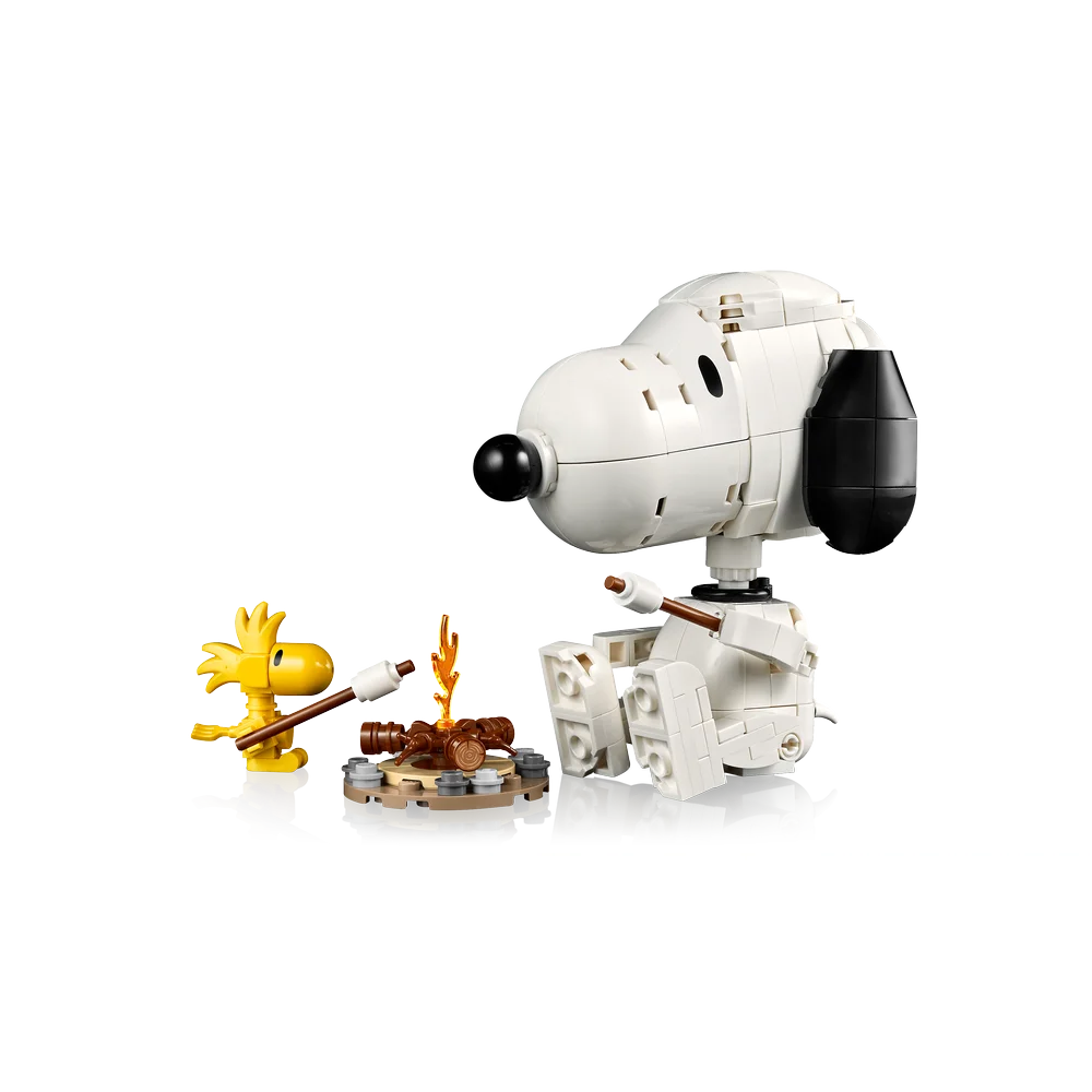 LEGO 21368