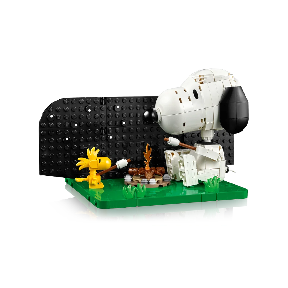 LEGO 21368