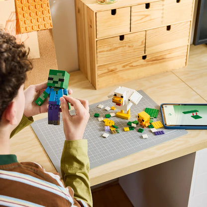LEGO 21582
