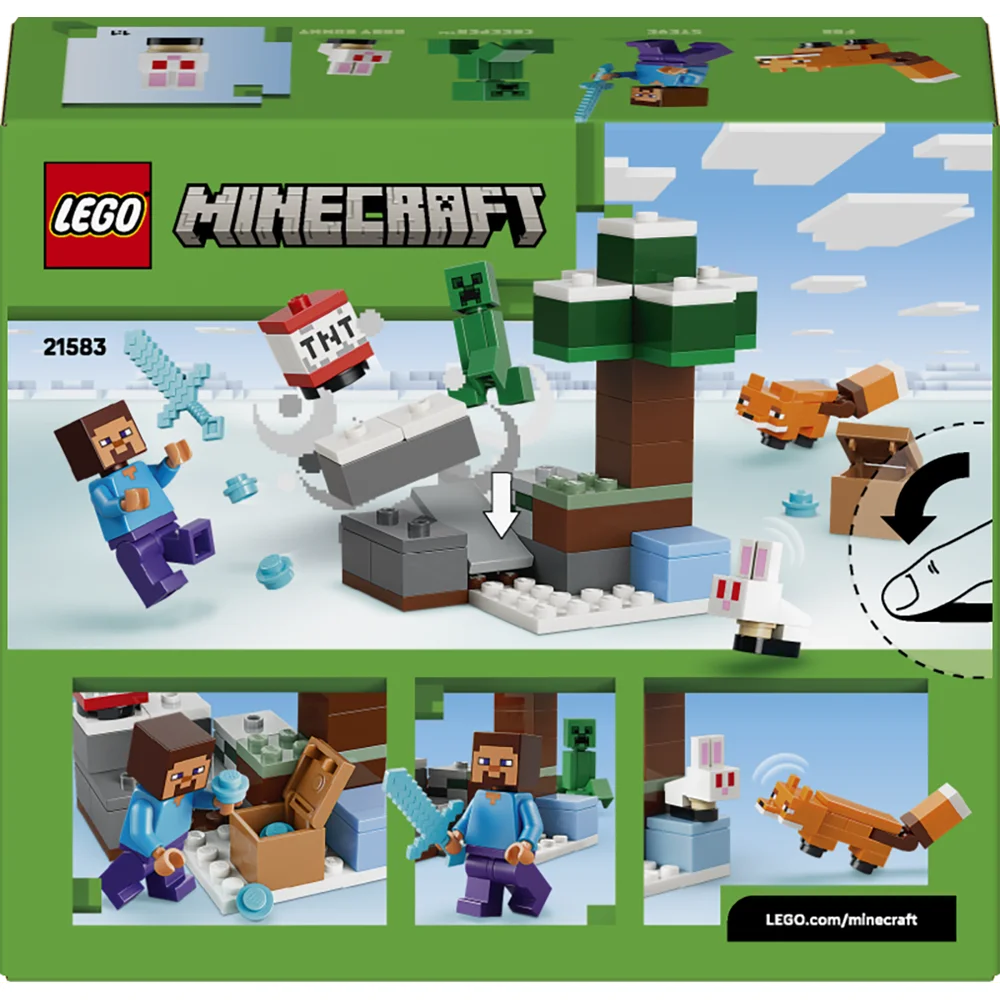 LEGO 21583