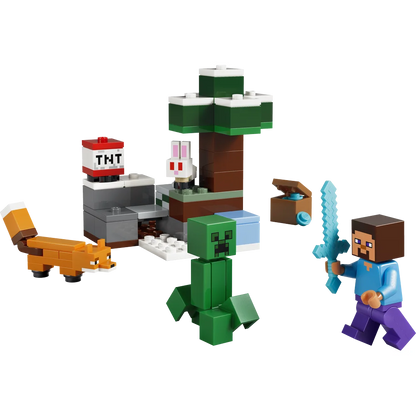 LEGO 21583