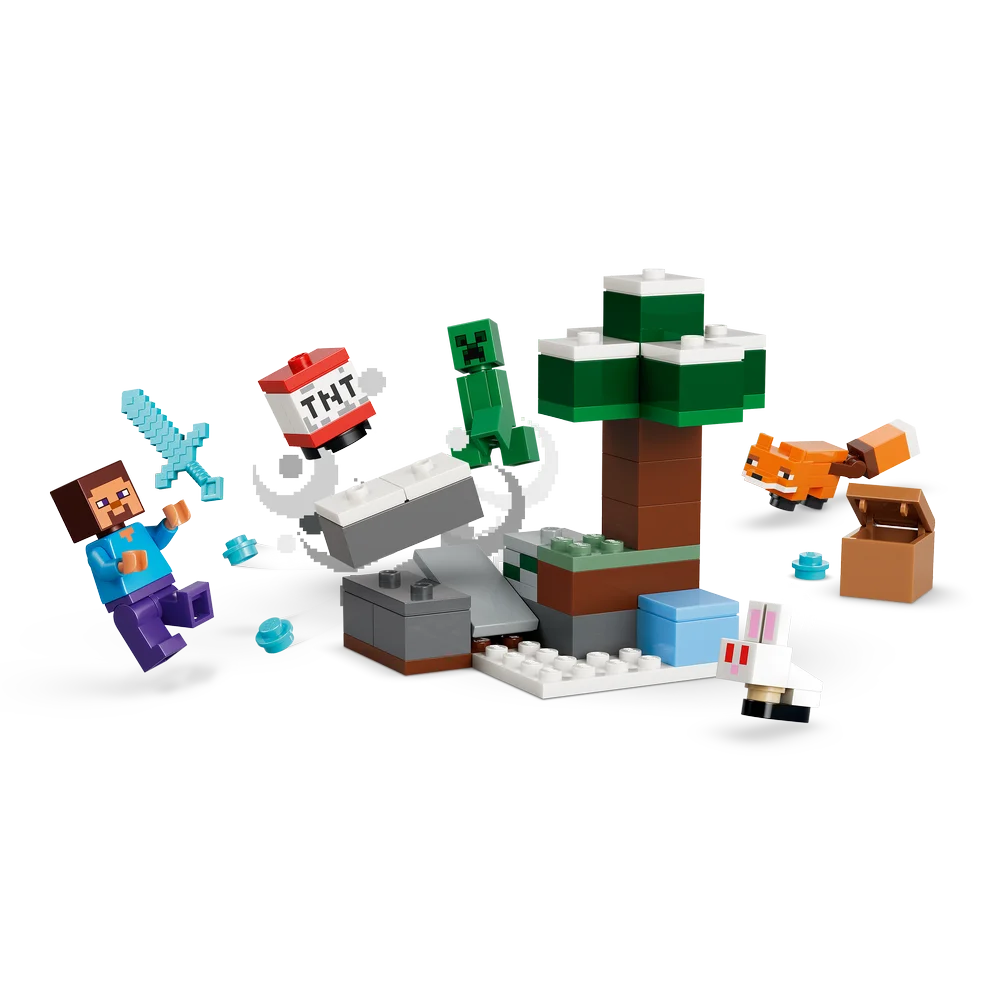 LEGO 21583