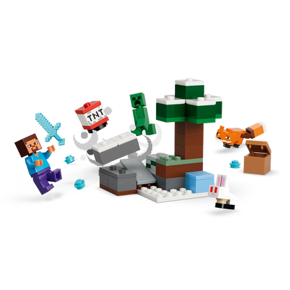 LEGO 21583