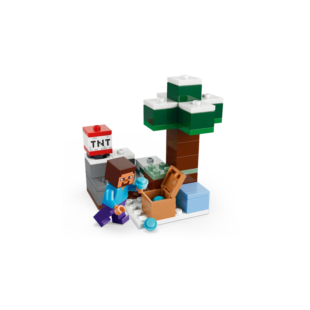 LEGO 21583