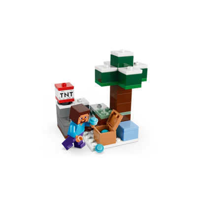LEGO 21583