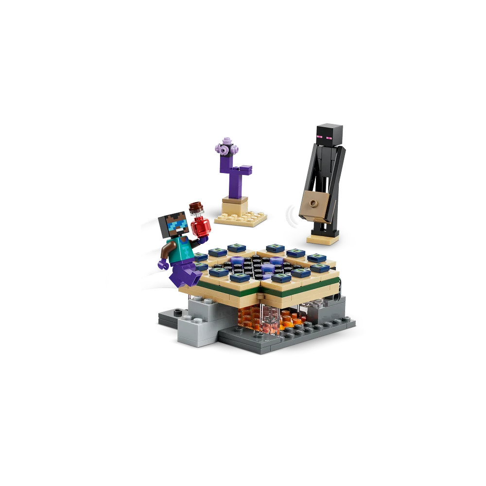 LEGO 21584