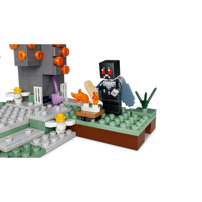 LEGO 21586