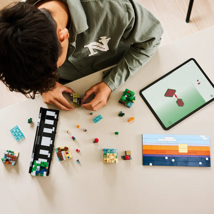 LEGO 21589