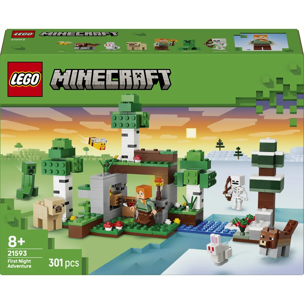 LEGO 21593