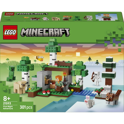 LEGO 21593
