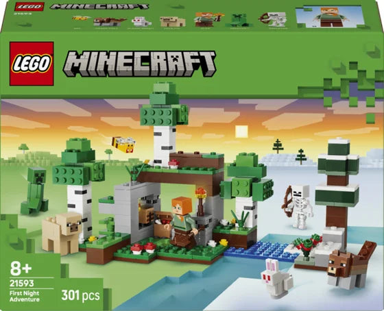 LEGO Minecraft - Eerste nacht-avontuur - 21593