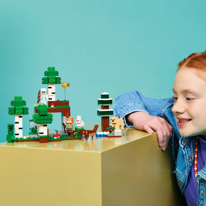 LEGO 21593