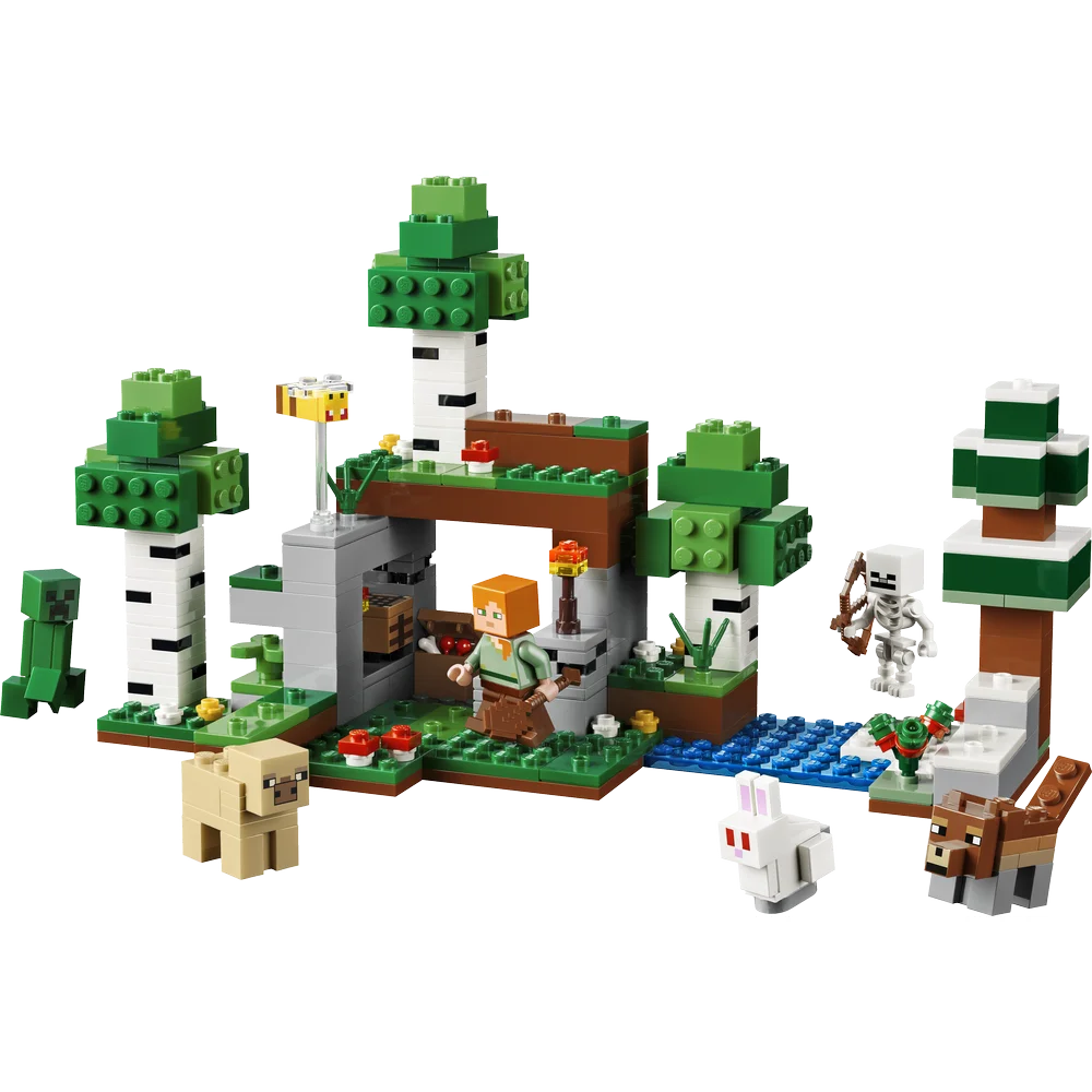 LEGO 21593