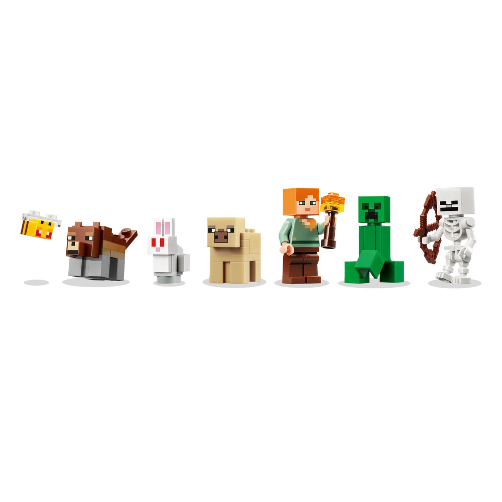 LEGO 21593