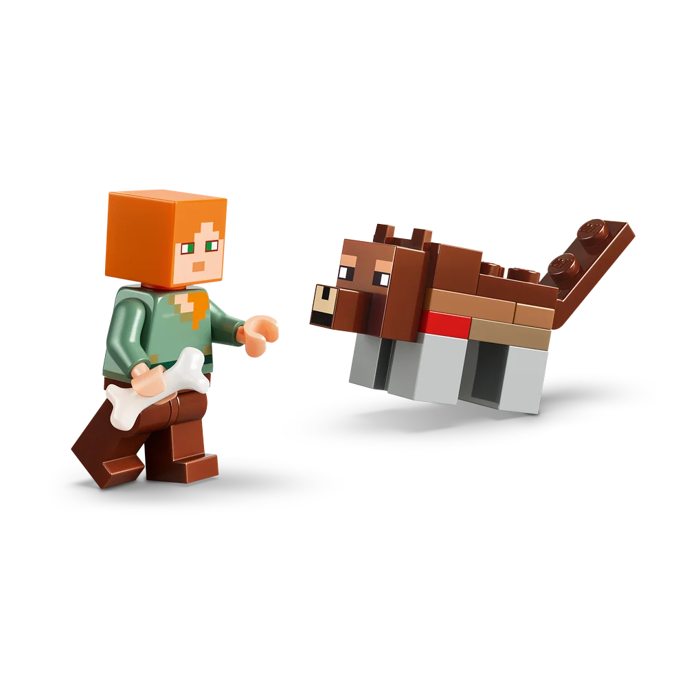 LEGO 21593