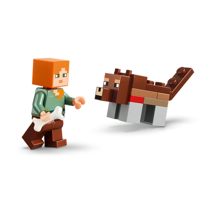 LEGO 21593
