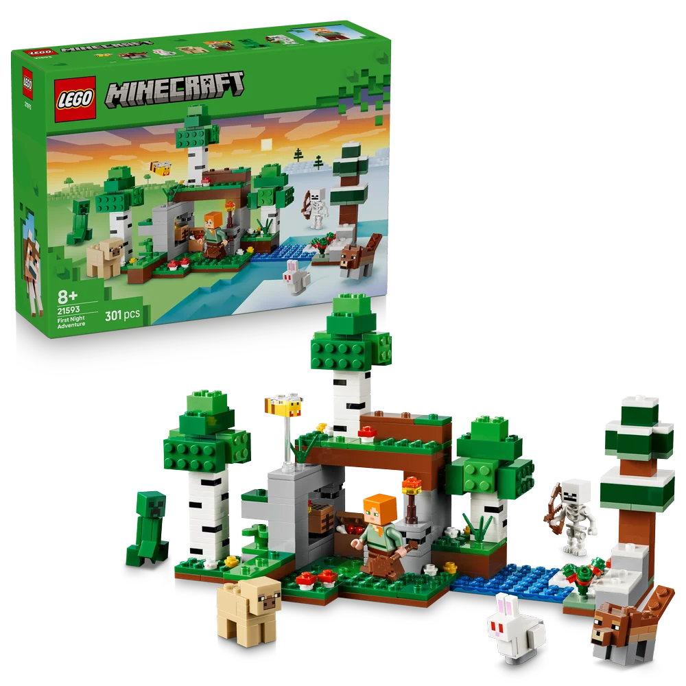 LEGO 21593