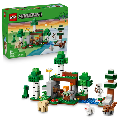 LEGO 21593