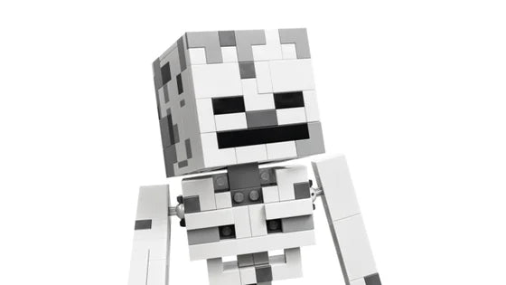 LEGO Minecraft - Het skelet - 21594
