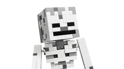 LEGO Minecraft - Het skelet - 21594