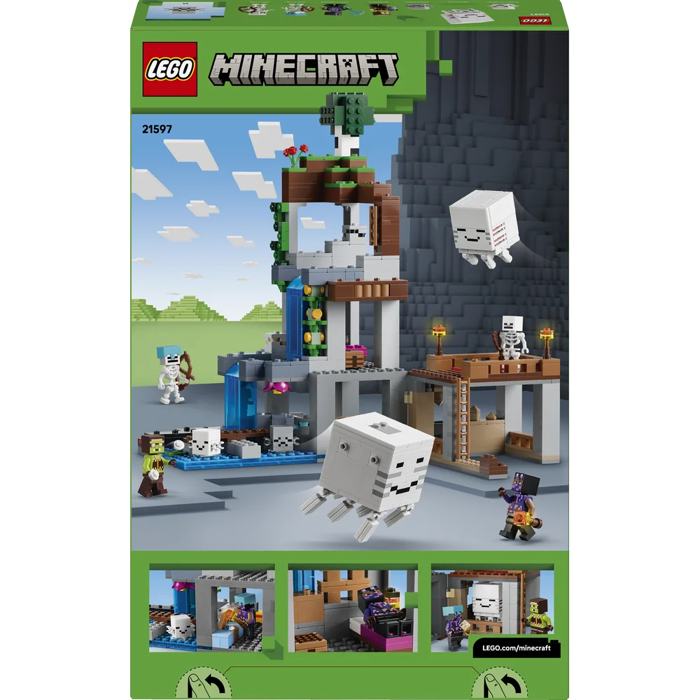 LEGO 21597