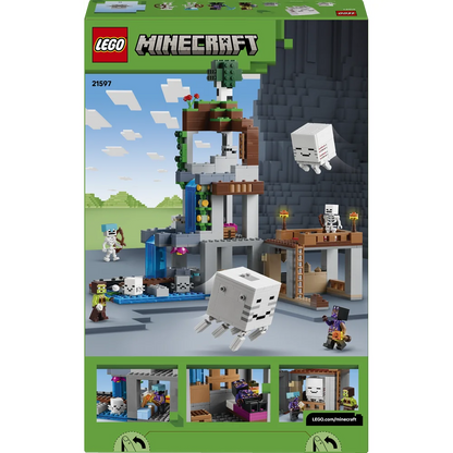LEGO 21597