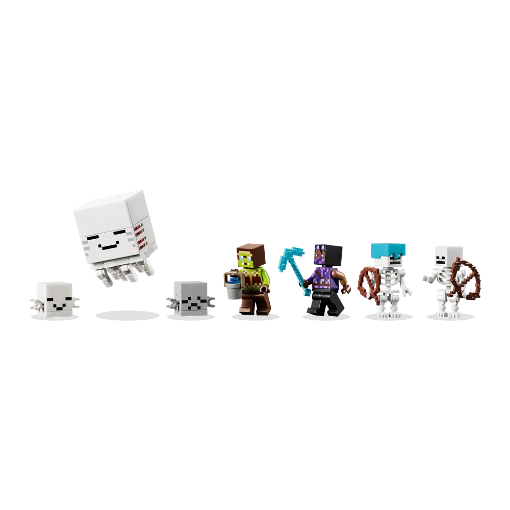 LEGO 21597