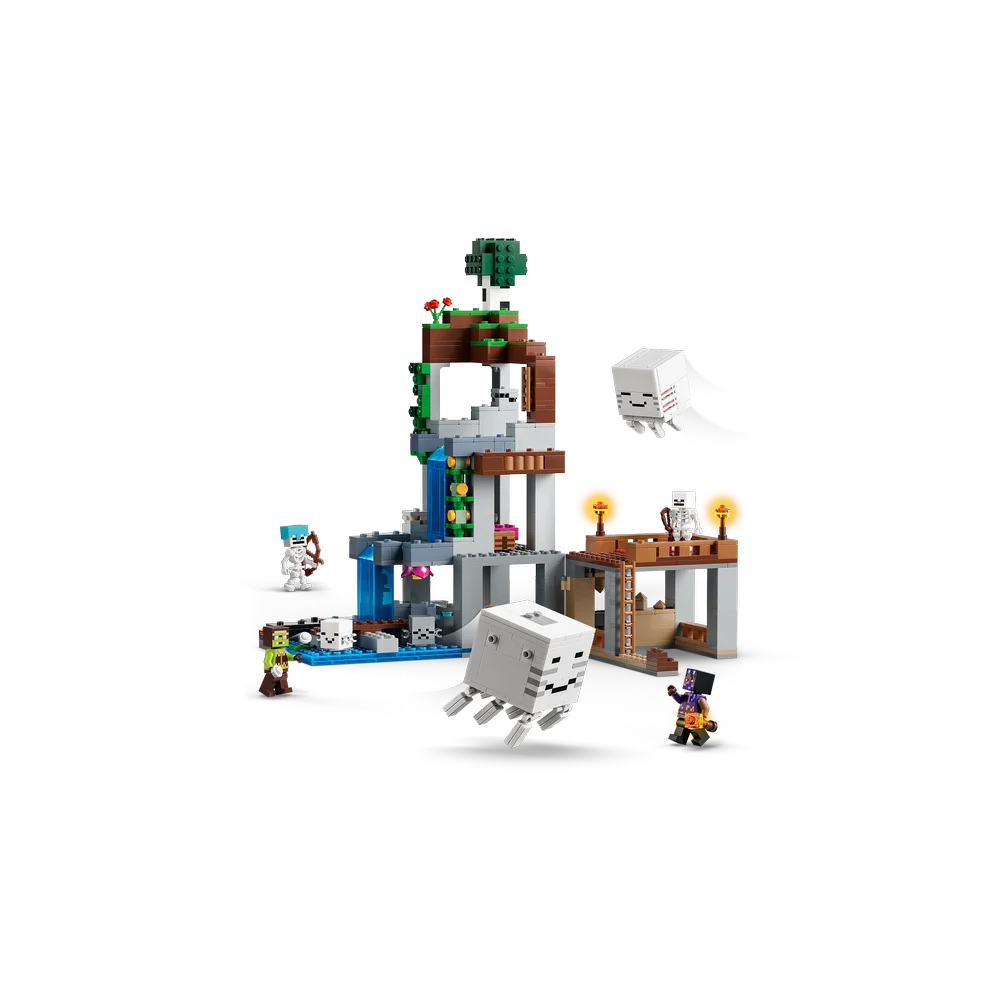 LEGO 21597