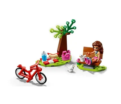 LEGO Friends - Picknick in het park - 30412