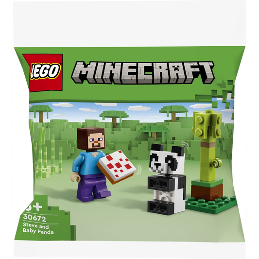 LEGO 30672