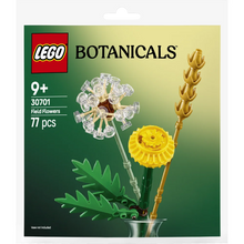 LEGO 30701