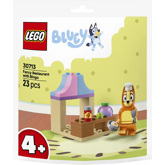 LEGO 30713
