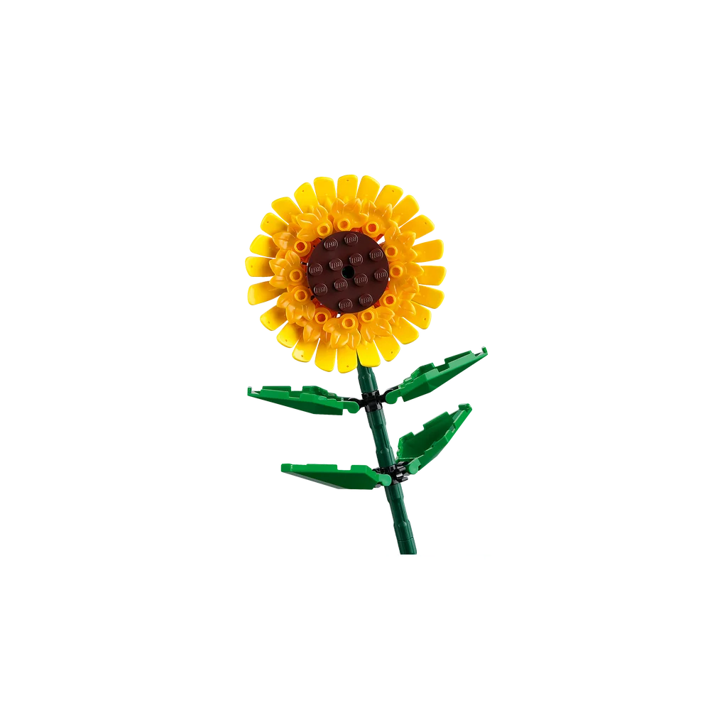 LEGO 40524