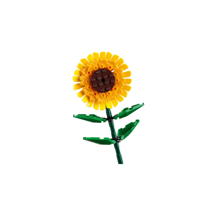 LEGO 40524