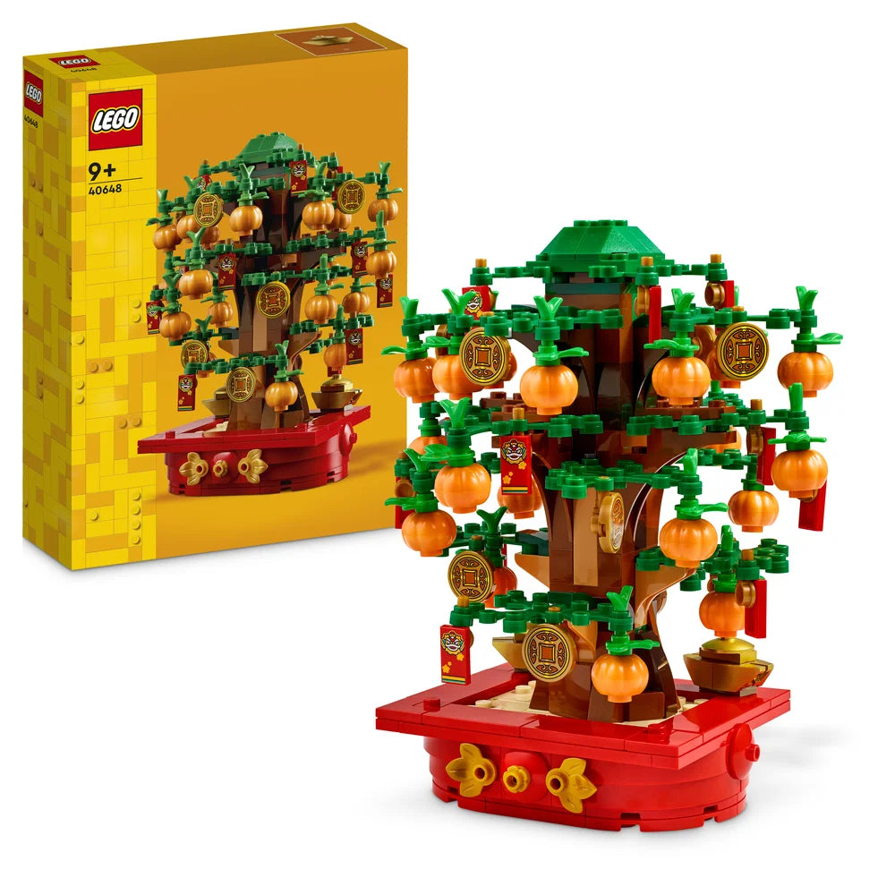 LEGO 40648