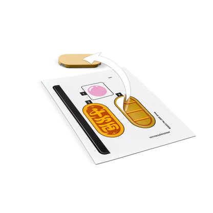 LEGO 40813