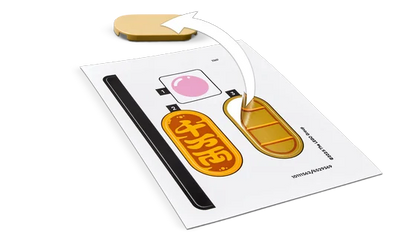 LEGO Seasonal - Gelukskatje - 40813