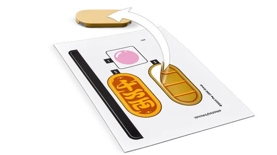 LEGO Seasonal - Gelukskatje - 40813