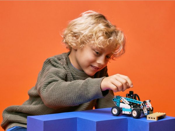 LEGO Technic - Verreiker - 42133