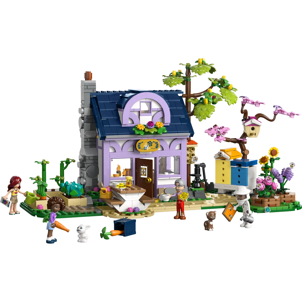 LEGO 42669