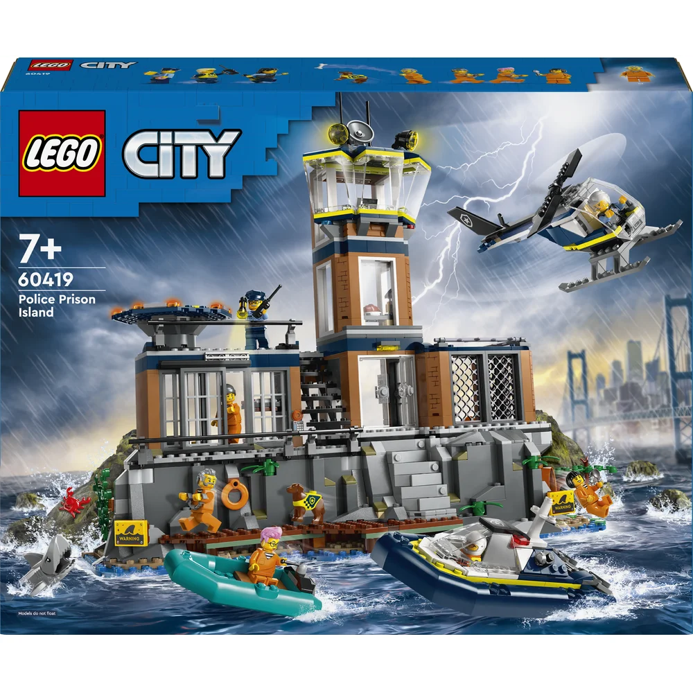 LEGO 60419