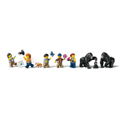 LEGO 60437