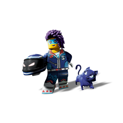 LEGO 71479