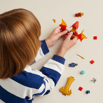 LEGO 71801