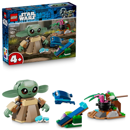 LEGO 75443