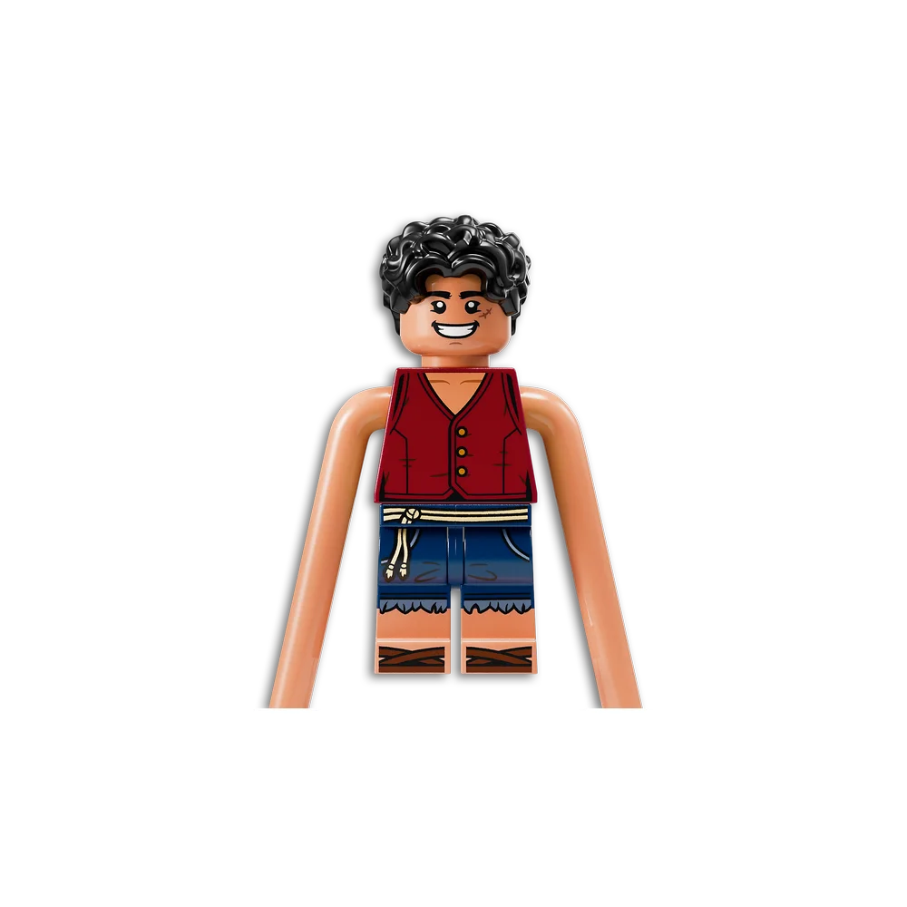 LEGO 75638