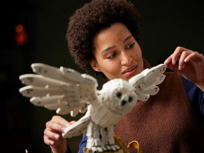 LEGO Harry Potter - Zweinstein™ Iconen - Collectors' Edition - 76391