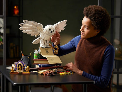 LEGO Harry Potter - Zweinstein™ Iconen - Collectors' Edition - 76391
