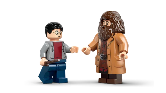LEGO Harry Potter - Hagrid™ en Harry's Ligusterlaan ontsnapping - 76459