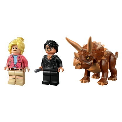 LEGO 76959